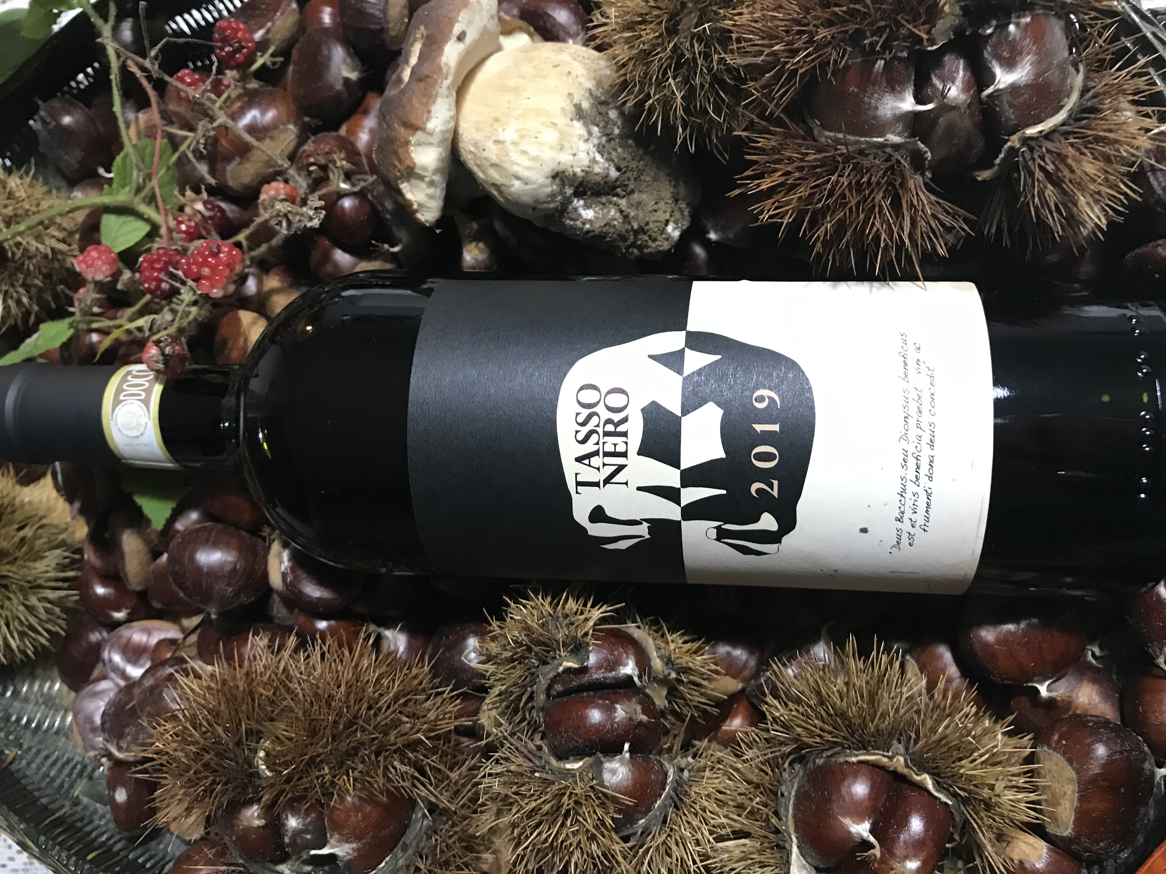 TASSO NERO d'autunno